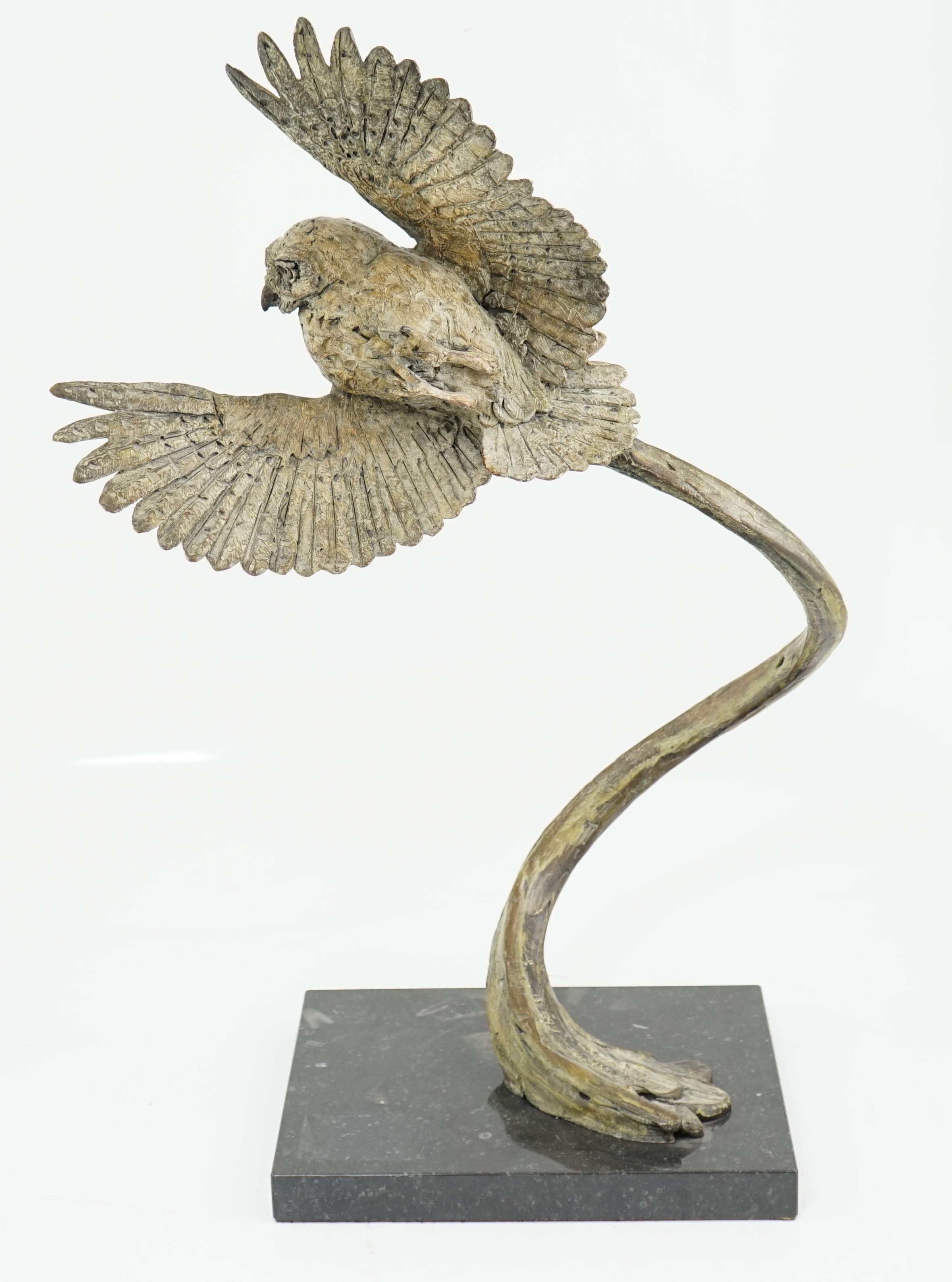 Hamish Mackie (b.1973), bronze, 'Little Owl'